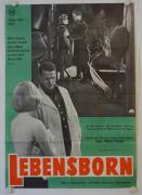 Lebensborn (Ordered to Love)
